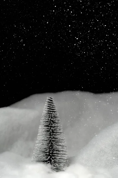 Kar Taneleri Siyah Arkaplanı Olan Kardaki Fidan Ağacı Bir Sürü — Stok fotoğraf