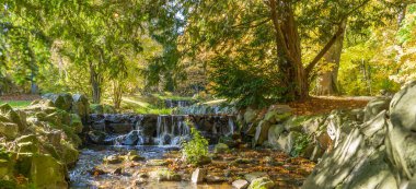 Sonbaharda parktaki bir derenin küçük şelalesi