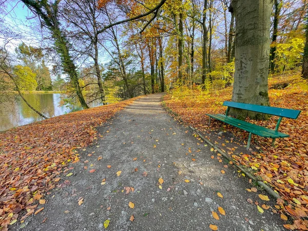 Spaziergang Durch Den Park Herbst Einem Sonnigen Tag Eine Grüne — Stockfoto