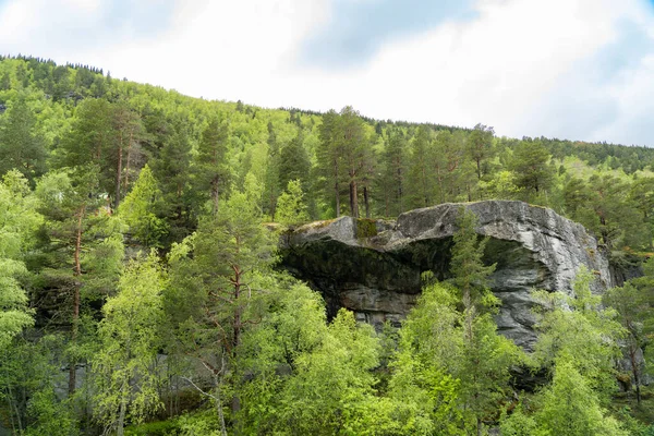 Slettafossen 緑の木々や岩の近くの美しい風景 — ストック写真