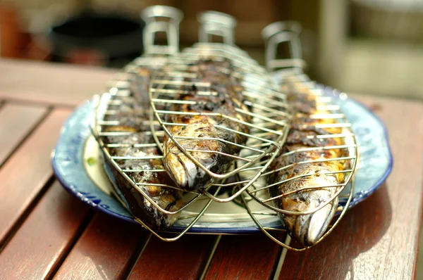 Grilled fish — Stock Photo, Image