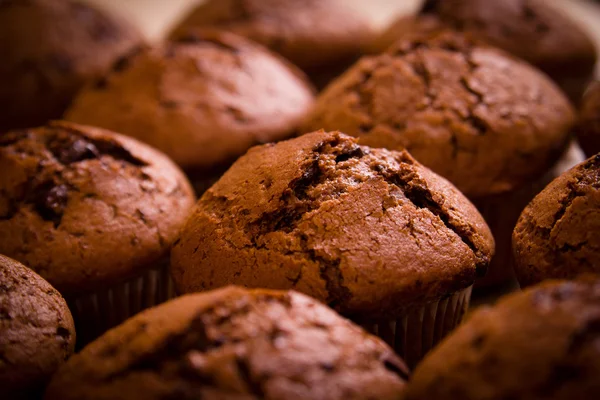 Muffin al cioccolato appena sfornati close up shoot — Foto Stock