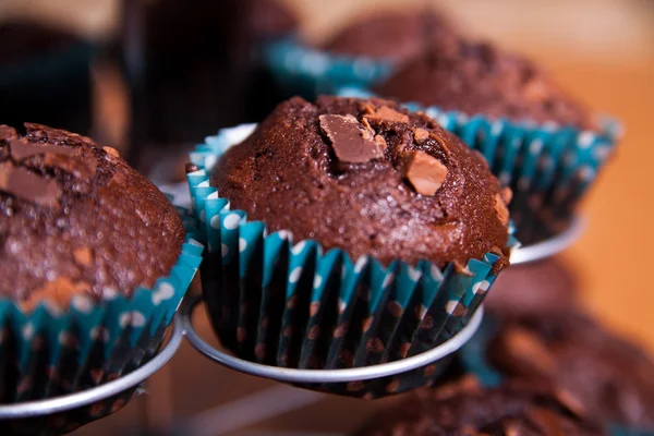 Chocolate muffins Stock Image