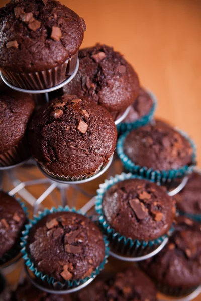 Muffins σοκολάτας Εικόνα Αρχείου