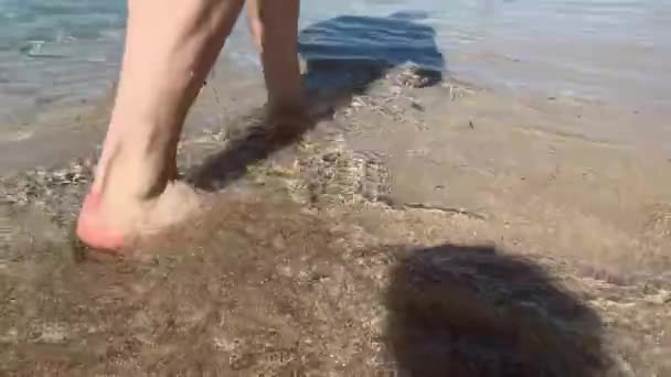 Blanke Man Wandelen Het Strand Met Barefeet Het Water — Stockvideo