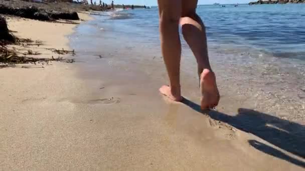 Mulher Descalça Caminhar Longo Praia Areia Tempo Ensolarado Quente Água — Vídeo de Stock