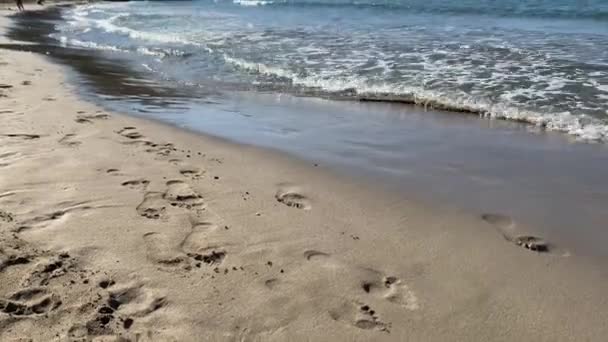 Slim piernas y pies femeninos caminando a lo largo de las olas de agua de mar en la playa de arena. Mujer bonita camina en el mar surf. — Vídeos de Stock