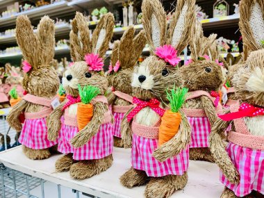 Dükkanında havuç olan şirin Paskalya Tavşanı