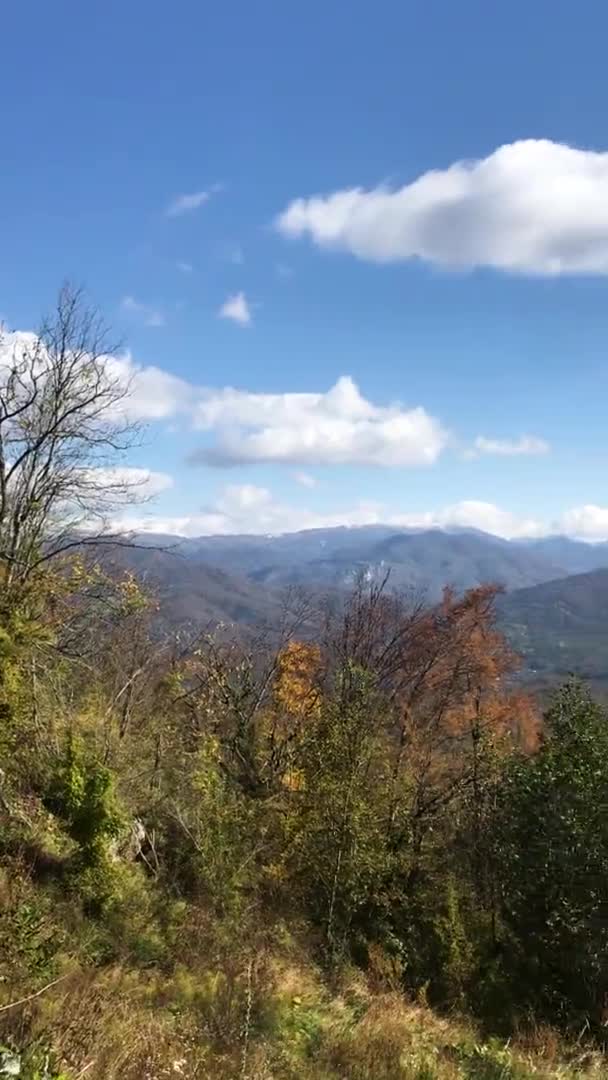 Ormandan Rüzgarda Sallanan Ağaçlardan Oluşan Dağ Sonbahar Manzarası Büyüleyicidir Dikkatleri — Stok video