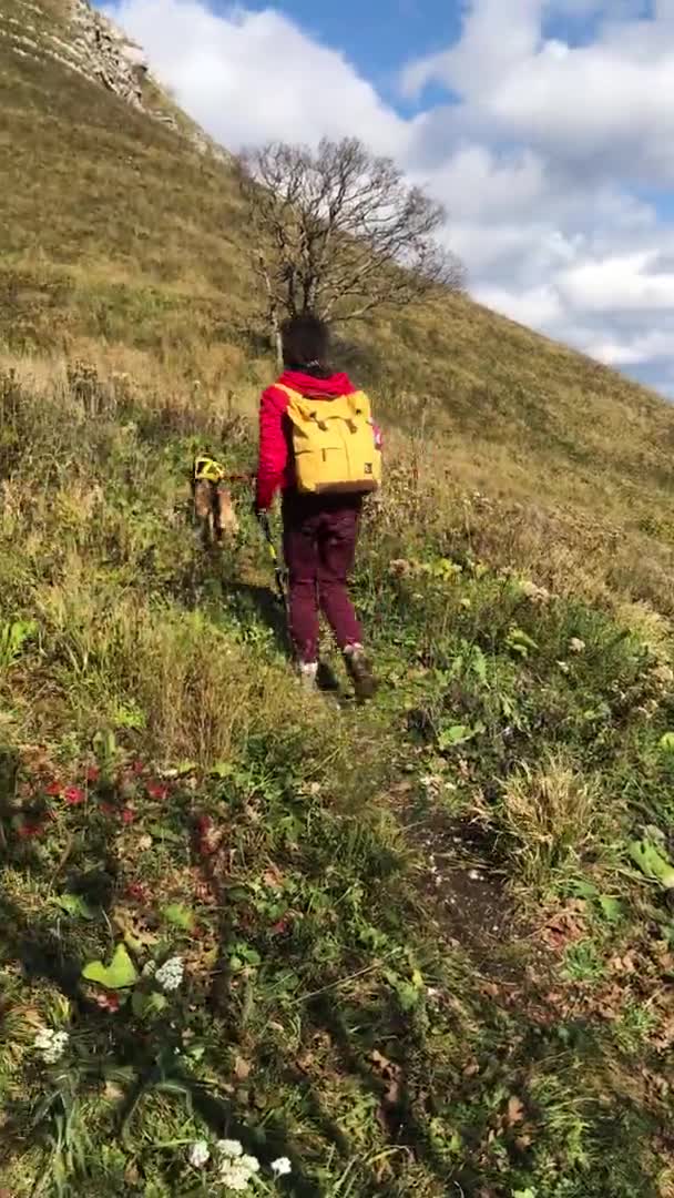 モバイルデバイスで使用するための垂直ビデオ 鮮やかな黄色のバックパックを持つ赤いジャケットの旅行者の女の子はトレッキングポールを使用してハイキングトレイルを歩く 犬は前進するのに役立ちます — ストック動画