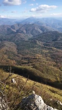 Ormandan ve rüzgarda sallanan ağaçlardan oluşan dağ sonbahar manzarası büyüleyicidir ve dikkatleri çeker. Milli parkın güzel doğası. Mobil aygıtlarda kullanmak için dikey video.