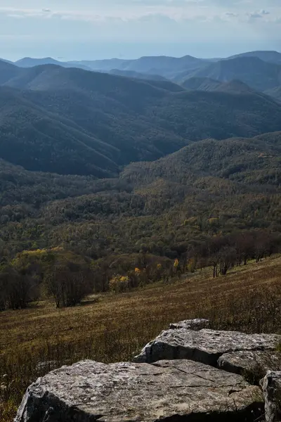 Bergbossen Zijn Zien Aan Horizon Verte Uitzicht Van Berg Naar — Stockfoto