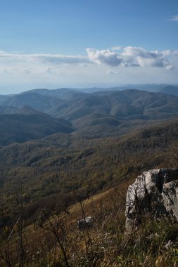 Dağ ormanları ufuktan görülebilir. Dağdan ormana ve yüksek tepelere bakın. Minimalist dikey ekran koruyucu. Sonbahar ormanı tüm ihtişamıyla tek kelimeyle muhteşem..