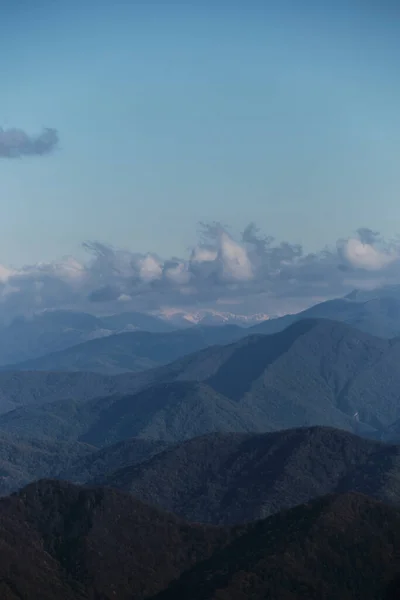 Mountain forests and peaks of rocks in snow can be seen on horizon in distance. View from top to forest and high mountains of Caucasian reserve. Minimalistic nature screensaver.