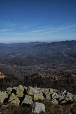 Sonbahar ormanının güzel manzarası ve dağın tepesinden açık mavi gökyüzü. Taşlar ön planda. Sarı ağaçlar köknar ve çam ağaçları uzaktan görülebilir. Doğa özellikle sonbaharda çok güzeldir..