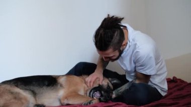 Beyaz, sakallı ve rastalı yakışıklı bir adam kırmızı battaniyenin üzerinde oturuyor ve Alman çoban köpeğini okşuyor. Evde köpekle iyi eğlenceler. 4K görüntü.