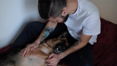 Beyaz, sakallı ve rastalı yakışıklı bir adam kırmızı battaniyenin üzerinde oturuyor ve Alman çoban köpeğini okşuyor. Evde köpekle iyi eğlenceler. 4K görüntü.