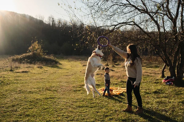 Kaukasiska Kvinnan Och Hennes Son Leker Med Hunden Fält Vid — Stockfoto