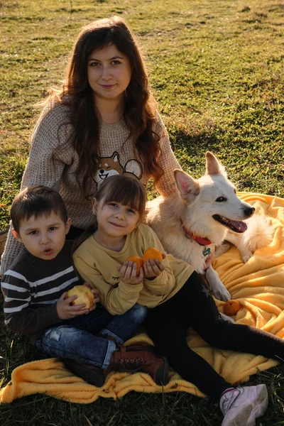 Família Caucasiana Diverte Juntos Natureza Mãe Com Filho Filha Cão — Fotografia de Stock