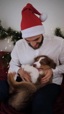 Yavaş çekim 4k formatında. Kırmızı Noel Baba şapkalı, sakallı genç beyaz adam Noel süslerinde Avustralyalı köpeğe sarılıyor. Avustralya çobanı sırt üstü uzanıyor ve insan eliyle oynuyor..