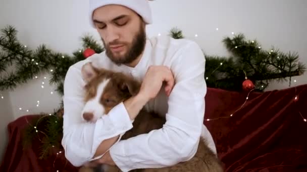 4K映像スローモーション 赤いサンタの帽子の抱擁でひげを生やした若い白人男性とクリスマスの装飾でオージー子犬にキス オーストラリアの羊飼い魅力的な一口バック — ストック動画