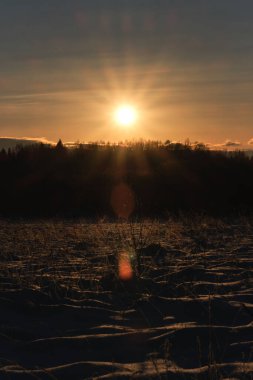 Soğuk kış akşamında güzel turuncu gün batımı. Güneş ışınları, orman ve ağaçların siluetine karşı gökyüzünü delip geçiyor. Kar tarlaları karla kaplı önplanda çeşitli bitki örtüleriyle.