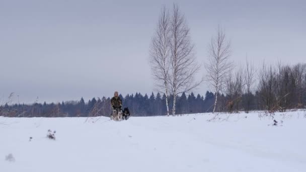 Zpomalený Záběr Musher Bílý Muž Klobouku Klapkami Uši Pohání Saně — Stock video