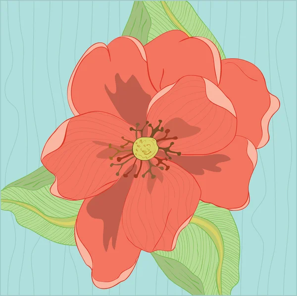 Oleander Flower — Stock Photo, Image