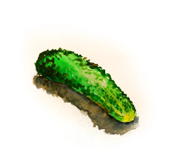 Растрова акварельна ілюстрація огірка — стокове фото