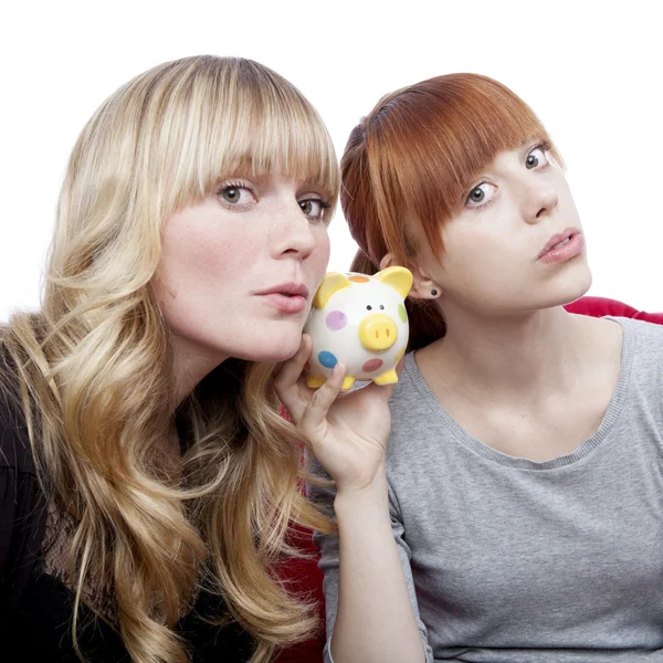 Young beautiful blond and red haired girls ears on moneypig on r — Stock Photo, Image