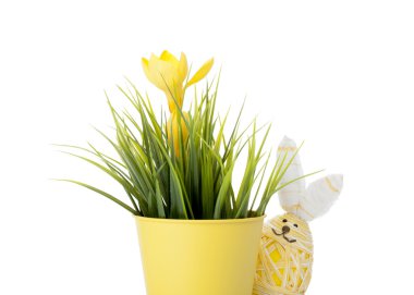 easter bunny yumurta ile bahar çiçek