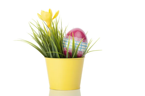 飾られた卵と黄色いクロッカスの花 — ストック写真