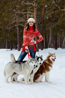 Sibirya husky köpek kış orman ile oynarken mutlu bir kadın