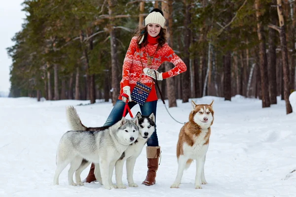 Счастливая женщина, играющая с сибирскими собаками хаски в зимнем лесу — стоковое фото
