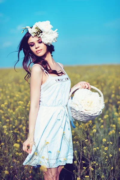 Jovem mulher bonita em um campo de verão — Fotografia de Stock