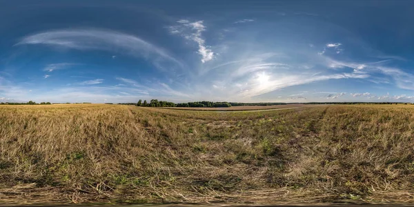 Plné Bezešvé Sférické Hdri Panorama 360 Mezi Podzimně Žlutými Zemědělskými — Stock fotografie