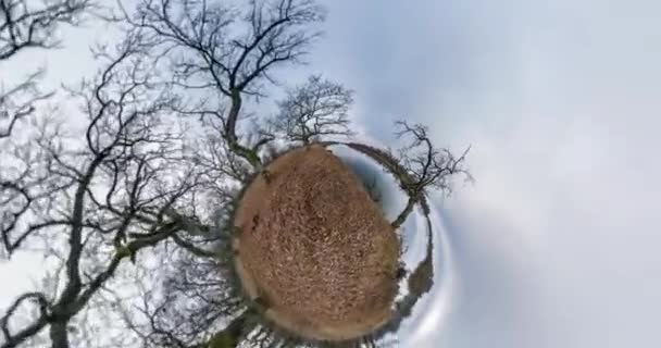 Espiral Torcer Rotação Lenta Paisagem Pequeno Planeta Bosque Carvalho Dia — Vídeo de Stock