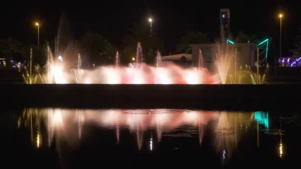 歌と踊りの噴水は夜のイルミネーションのある大通りの噴水で — ストック動画