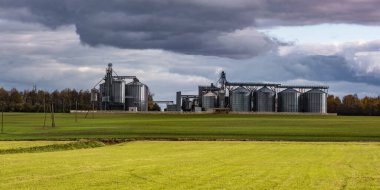 tarım ürünleri, un, tahıl ve tahıl ürünlerinin depolama ve işleme kuru temizleme için tarım işleme tesisi üzerine gümüş silodaki modern tahıl ambarı ve tohum temizleme hattı 