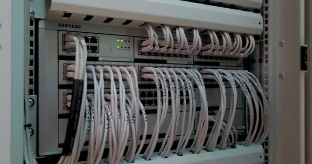 Groot Aantal Draden Kabels Moderne Server Netwerkapparatuur Met Knipperende Groene — Stockvideo