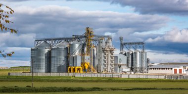 Tarım siloları ve modern ambar asansörleri. Tarım işleme ve imalat tesisinde tarım ürünleri, un, tahıl ve tahıl işleme ve depolama için gümüş silolar. 