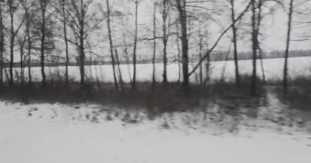 Hareket Halindeki Tren Penceresinden Kar Ağaçlarla Donuk Gri Manzarayı Izlemek — Stok video