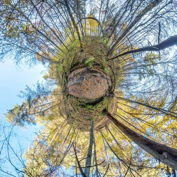 Крошечная Планета Преобразования Сферической Панорамы 360 Градусов Сферический Абстрактный Вид — стоковое фото