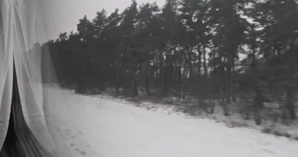 View Moving Train Window Winter Dull Gray Landscape Snow Trees — Video Stock