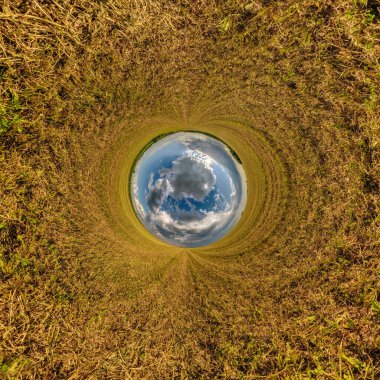 blue sphere little planet inside yellow grass round frame background. 