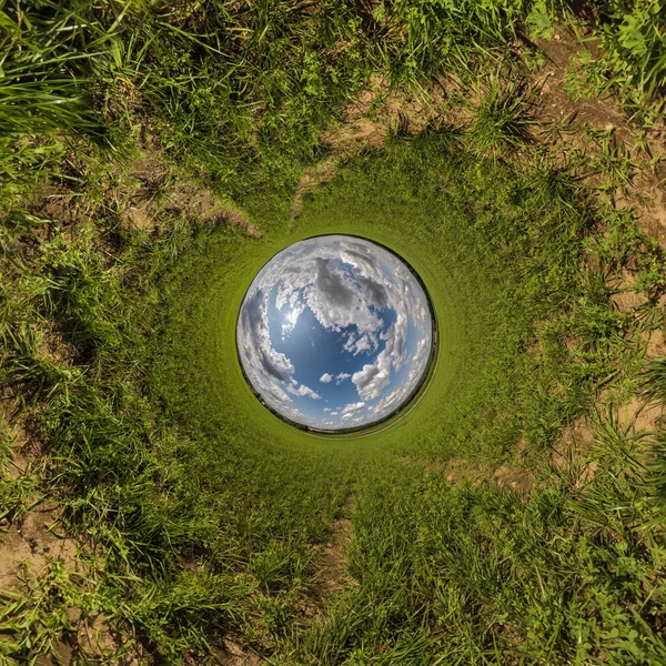 Sphère Bleue Petite Planète Intérieur Herbe Verte Cadre Rond Fond — Photo