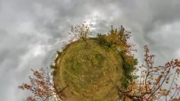 우주의 행성의 변화입니다 과수원 정원에 풍경의 파노라마의 — 비디오