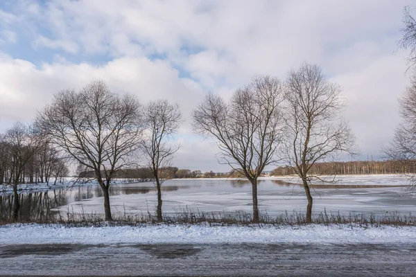 Σιλουέτες Γυμνών Δέντρων Στο Φόντο Μιας Παγωμένης Χειμερινής Λίμνης Και — Φωτογραφία Αρχείου