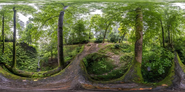 全天候无缝球面全景全景360度俯瞰落树在森林或公园的灌木丛中 楼梯呈等长方形投影 准备Vr Ar虚拟现实内容 图库图片