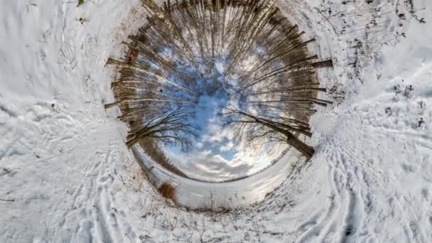 Изгиб Искривление 360 Космоса Зимнем Лесу Крошечную Планету — стоковое видео